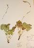  ( - CCDB-23321-E05)  @11 [ ] CreativeCommons - Attribution (2016) Unspecified Unspecified