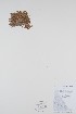  ( - BABY-02072)  @11 [ ] CreativeCommons - Attribution (2019) Unspecified Unspecified
