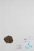  ( - BABY-09021)  @11 [ ] CreativeCommons - Attribution (2019) Unspecified Unspecified