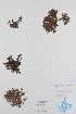  ( - BABY-09714)  @11 [ ] CreativeCommons - Attribution (2019) Unspecified Unspecified