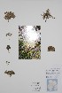  ( - BABY-10832)  @11 [ ] CreativeCommons - Attribution (2019) Unspecified Unspecified