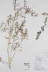  ( - BABY-10324)  @11 [ ] CreativeCommons - Attribution (2019) Unspecified Unspecified