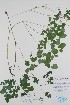  ( - BABY-10714)  @11 [ ] CreativeCommons - Attribution (2019) Unspecified Unspecified