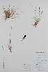  ( - BABY-09019)  @11 [ ] CreativeCommons - Attribution (2019) Unspecified Unspecified