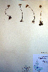  ( - CCDB-18321-C12)  @13 [ ] CreativeCommons - Attribution Non-Commercial Share-Alike (2012) CBG Photography Group Unspecified