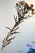  ( - CCDB-18322-E10)  @11 [ ] CreativeCommons - Attribution Non-Commercial Share-Alike (2012) CBG Photography Group Unspecified