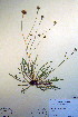  ( - CCDB-18323-C4)  @11 [ ] CreativeCommons - Attribution Non-Commercial Share-Alike (2012) CBG Photography Group Unspecified