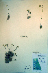  ( - CCDB-18326-H4)  @11 [ ] CreativeCommons - Attribution Non-Commercial Share-Alike (2012) CBG Photography Group Unspecified