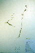  ( - CCDB-18327-H5)  @11 [ ] CreativeCommons - Attribution Non-Commercial Share-Alike (2012) CBG Photography Group Unspecified