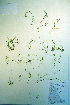  ( - CCDB-18327-F5)  @11 [ ] CreativeCommons - Attribution Non-Commercial Share-Alike (2012) CBG Photography Group Unspecified