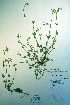  ( - CCDB-18327-C10)  @11 [ ] CreativeCommons - Attribution Non-Commercial Share-Alike (2012) CBG Photography Group Unspecified