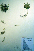  ( - CCDB-18327-B10)  @11 [ ] CreativeCommons - Attribution Non-Commercial Share-Alike (2012) CBG Photography Group Unspecified