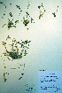  ( - CCDB-18327-A10)  @11 [ ] CreativeCommons - Attribution Non-Commercial Share-Alike (2012) CBG Photography Group Unspecified