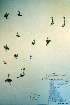  ( - CCDB-18328-D1)  @11 [ ] CreativeCommons - Attribution Non-Commercial Share-Alike (2012) CBG Photography Group Unspecified