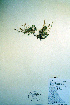  ( - CCDB-18328-B1)  @11 [ ] CreativeCommons - Attribution Non-Commercial Share-Alike (2012) CBG Photography Group Unspecified