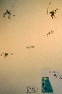  ( - CCDB-18328-F3)  @11 [ ] CreativeCommons - Attribution Non-Commercial Share-Alike (2012) CBG Photography Group Unspecified