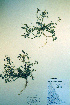  ( - CCDB-18328-B5)  @11 [ ] CreativeCommons - Attribution Non-Commercial Share-Alike (2012) CBG Photography Group Unspecified