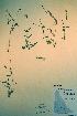  ( - CCDB-18328-B7)  @11 [ ] CreativeCommons - Attribution Non-Commercial Share-Alike (2012) CBG Photography Group Unspecified