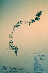  ( - CCDB-18328-F9)  @11 [ ] CreativeCommons - Attribution Non-Commercial Share-Alike (2012) CBG Photography Group Unspecified