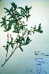  ( - CCDB-18329-D5)  @11 [ ] CreativeCommons - Attribution Non-Commercial Share-Alike (2012) CBG Photography Group Unspecified