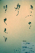  ( - CCDB-18329-B5)  @11 [ ] CreativeCommons - Attribution Non-Commercial Share-Alike (2012) CBG Photography Group Unspecified