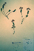  ( - CCDB-18329-E7)  @11 [ ] CreativeCommons - Attribution Non-Commercial Share-Alike (2012) CBG Photography Group Unspecified