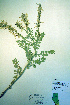  ( - CCDB-18329-B11)  @11 [ ] CreativeCommons - Attribution Non-Commercial Share-Alike (2012) CBG Photography Group Unspecified