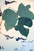  ( - CCDB-18329-E12)  @11 [ ] CreativeCommons - Attribution Non-Commercial Share-Alike (2012) CBG Photography Group Unspecified