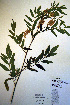  ( - CCDB-18330-G4)  @11 [ ] CreativeCommons - Attribution Non-Commercial Share-Alike (2012) CBG Photography Group Unspecified