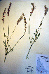  ( - CCDB-18330-B7)  @11 [ ] CreativeCommons - Attribution Non-Commercial Share-Alike (2012) CBG Photography Group Unspecified