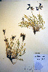  ( - CCDB-18330-A7)  @11 [ ] CreativeCommons - Attribution Non-Commercial Share-Alike (2012) CBG Photography Group Unspecified