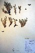  ( - CCDB-18330-C9)  @11 [ ] CreativeCommons - Attribution Non-Commercial Share-Alike (2012) CBG Photography Group Unspecified