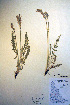  ( - CCDB-18330-D10)  @11 [ ] CreativeCommons - Attribution Non-Commercial Share-Alike (2012) CBG Photography Group Unspecified