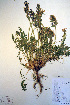  ( - CCDB-18330-H11)  @11 [ ] CreativeCommons - Attribution Non-Commercial Share-Alike (2012) CBG Photography Group Unspecified