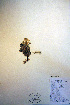  ( - CCDB-18331-E2)  @11 [ ] CreativeCommons - Attribution Non-Commercial Share-Alike (2012) CBG Photography Group Unspecified