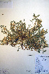 ( - CCDB-18331-D2)  @11 [ ] CreativeCommons - Attribution Non-Commercial Share-Alike (2012) CBG Photography Group Unspecified