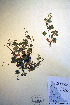  ( - CCDB-18331-G6)  @11 [ ] CreativeCommons - Attribution Non-Commercial Share-Alike (2012) CBG Photography Group Unspecified