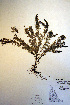  ( - CCDB-18331-C6)  @11 [ ] CreativeCommons - Attribution Non-Commercial Share-Alike (2012) CBG Photography Group Unspecified