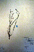  ( - CCDB-18331-B12)  @11 [ ] CreativeCommons - Attribution Non-Commercial Share-Alike (2012) CBG Photography Group Unspecified