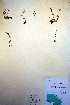  ( - CCDB-18332-C4)  @11 [ ] CreativeCommons - Attribution Non-Commercial Share-Alike (2012) CBG Photography Group Unspecified