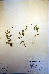  ( - CCDB-18332-D6)  @11 [ ] CreativeCommons - Attribution Non-Commercial Share-Alike (2012) CBG Photography Group Unspecified