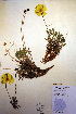  ( - CCDB-18332-F8)  @11 [ ] CreativeCommons - Attribution Non-Commercial Share-Alike (2012) CBG Photography Group Unspecified