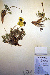  ( - CCDB-18332-D8)  @11 [ ] CreativeCommons - Attribution Non-Commercial Share-Alike (2012) CBG Photography Group Unspecified