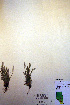  ( - CCDB-18332-F9)  @11 [ ] CreativeCommons - Attribution Non-Commercial Share-Alike (2012) CBG Photography Group Unspecified