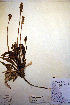  ( - CCDB-18332-D9)  @11 [ ] CreativeCommons - Attribution Non-Commercial Share-Alike (2012) CBG Photography Group Unspecified