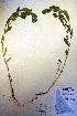  ( - CCDB-18333-D4)  @11 [ ] CreativeCommons - Attribution Non-Commercial Share-Alike (2012) CBG Photography Group Unspecified