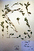  ( - CCDB-18333-C4)  @11 [ ] CreativeCommons - Attribution Non-Commercial Share-Alike (2012) CBG Photography Group Unspecified
