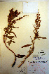  ( - CCDB-18333-H8)  @11 [ ] CreativeCommons - Attribution Non-Commercial Share-Alike (2012) CBG Photography Group Unspecified