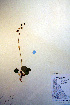  ( - CCDB-18334-G6)  @11 [ ] CreativeCommons - Attribution Non-Commercial Share-Alike (2012) CBG Photography Group Unspecified