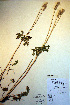  ( - CCDB-18334-H8)  @11 [ ] CreativeCommons - Attribution Non-Commercial Share-Alike (2012) CBG Photography Group Unspecified